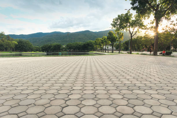 Best Custom Driveway Pavers  in Kendall West, FL